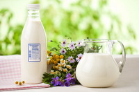 Производство молока в Грузии сократилось на 5,1%