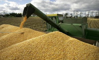 В августе 2022 года в Грузию было импортировано 29 775 тонн пшеницы